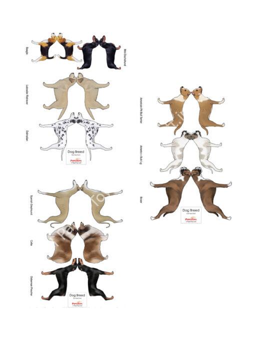Mô hình giấy Dog Breed Collection - đồ chơi giấy thủ công PaperCraft VN