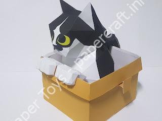 Mô hình giấy Cat in a box - đồ chơi giấy thủ công PaperCraft VN