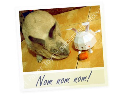 Mô hình giấy Sleepy Bunny - đồ chơi giấy thủ công PaperCraft VN