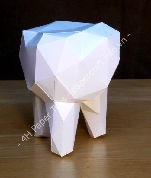 Mô hình giấy Molar - đồ chơi giấy thủ công PaperCraft VN