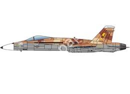 Mô hình giấy F/A-18 Hornet – F/A-18 Top Gun U.S. Naval Strike and Air Warfare Center - đồ chơi giấy thủ công PaperCraft VN