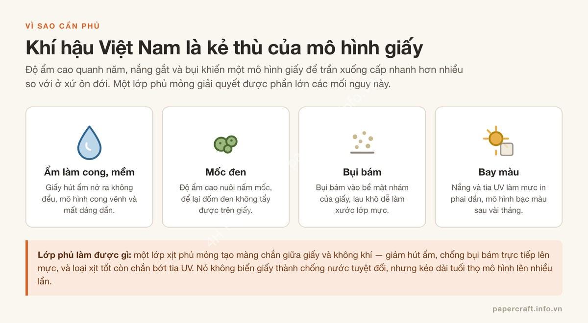 Bốn tác hại của khí hậu Việt Nam lên mô hình giấy: ẩm, mốc, bụi, bay màu - PaperCraft VN